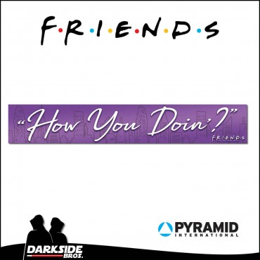 Friends - How You Doin - Cartel de Bienvenida