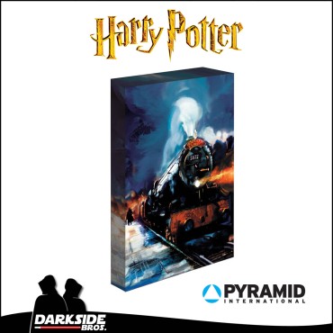 Harry Potter - Hogwarts Express Cuadro de Tela retroiluminado 30x40cm